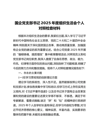 国企党支部书记2025年度组织生活会个人对照检查材料
