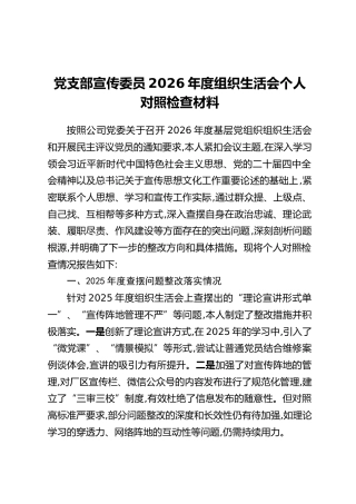党支部宣传委员2026年度组织生活会个人对照检查材料