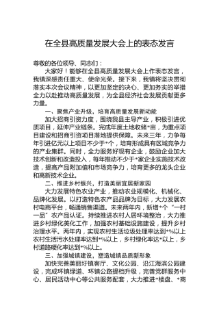 在全县高质量发展大会上的表态发言