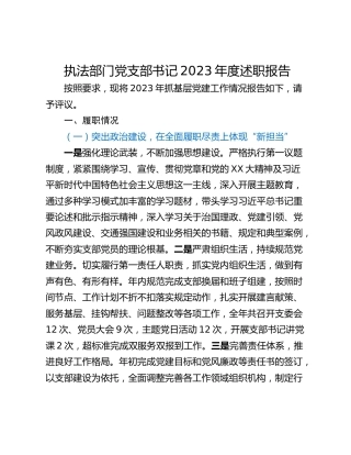 执法部门党支部书记2023年度述职报告