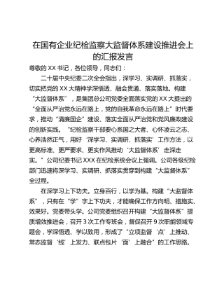 在国有企业纪检监察大监督体系建设推进会上的汇报发言