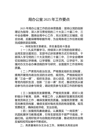 局办公室2025年工作要点