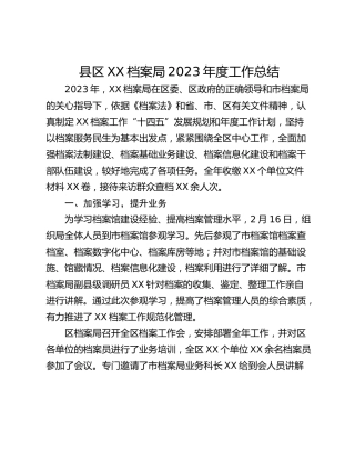 县区XX档案局2023年度工作总结