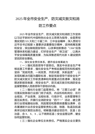 2025年全市安全生产、防灾减灾救灾和消防工作要点