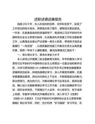 述职述德述廉报告