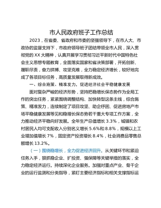 市人民政府班子工作总结
