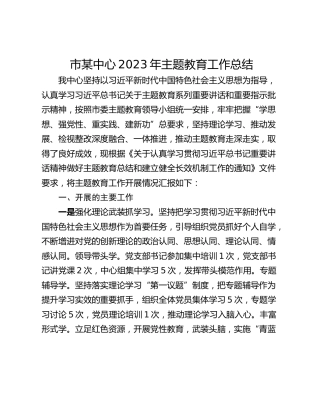 市某中心2023年主题教育工作总结