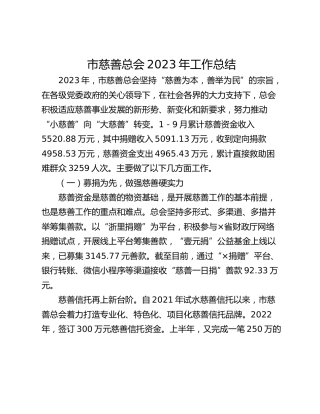 市慈善总会2023年工作总结