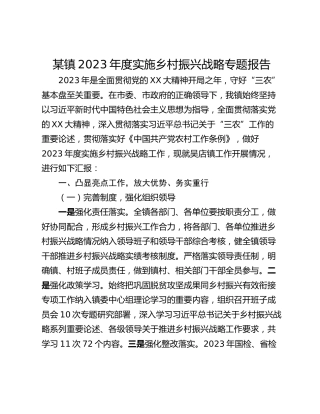某镇2023年度实施乡村振兴战略专题报告