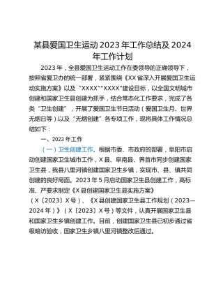 某县爱国卫生运动2023年工作总结及2024年工作计划