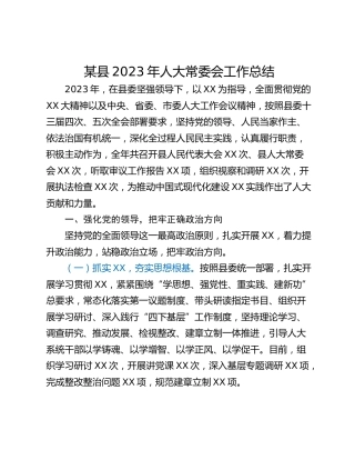某县2023年人大常委会工作总结