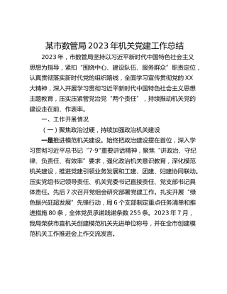 某市数管局2023年机关党建工作总结