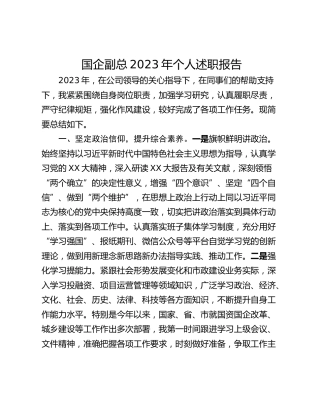 国企副总2023年个人述职报告