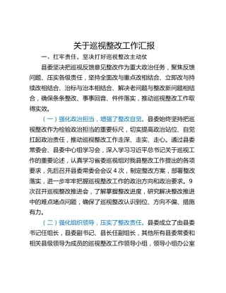 关于巡视整改工作汇报