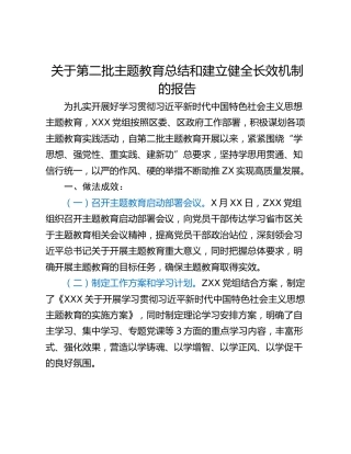 关于第二批主题教育总结和建立健全长效机制的报告