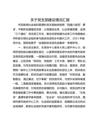 关于党支部建设情况汇报