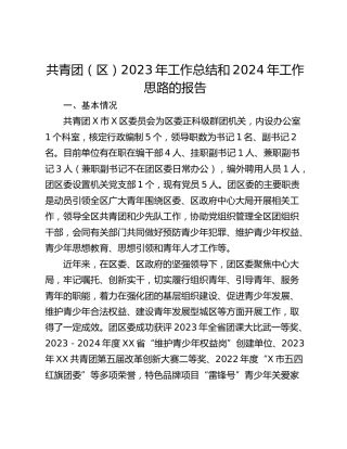 共青团（区）2023年工作总结和2024年工作思路的报告
