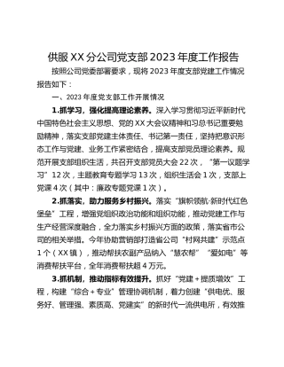 供服XX分公司党支部2023年度工作报告