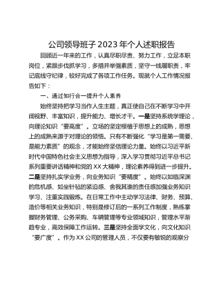 公司领导班子2023年个人述职报告