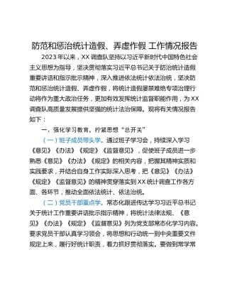 防范和惩治统计造假、弄虚作假 工作情况报告