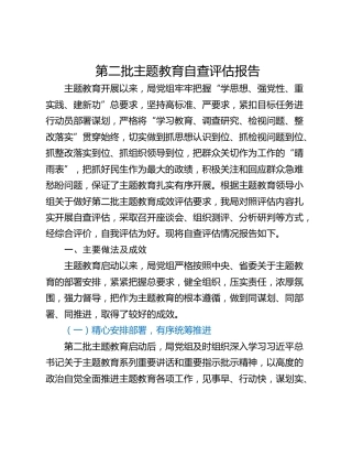 第二批主题教育自查评估报告