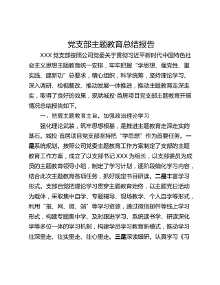 党支部主题教育总结报告