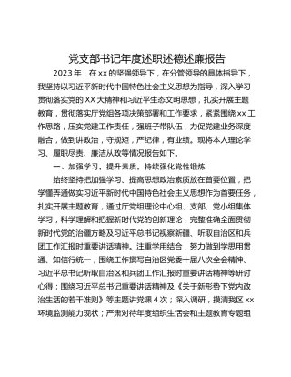 党支部书记年度述职述德述廉报告