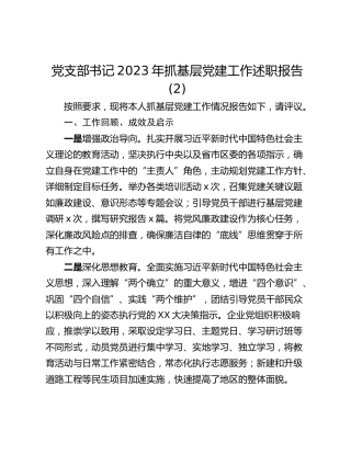党支部书记2023年抓基层党建工作述职报告 (2)