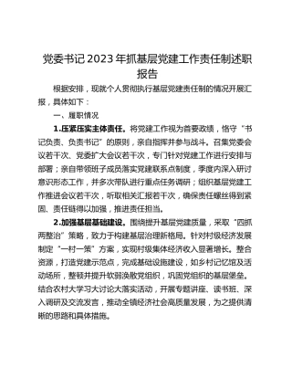 党委书记2023年抓基层党建工作责任制述职报告