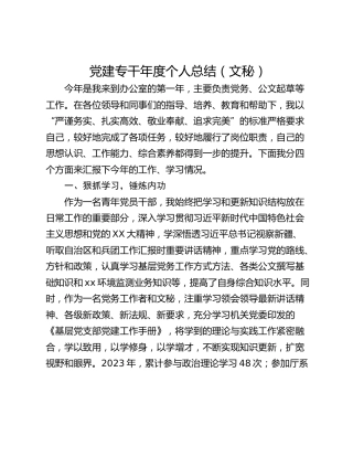 党建专干年度个人总结（文秘）
