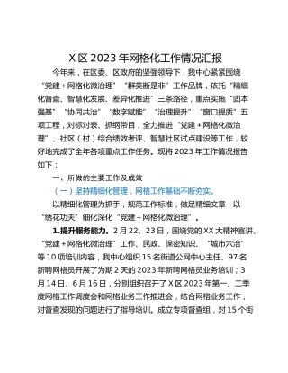 X区2023年网格化工作情况汇报