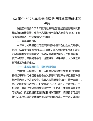 XX国企2023年度党组织书记抓基层党建述职报告