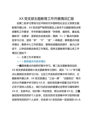XX党支部主题教育工作开展情况汇报