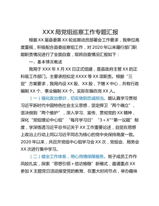 XXX局党组巡察工作专题汇报