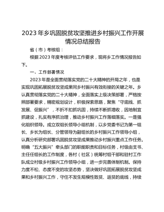 2023年乡巩固脱贫攻坚推进乡村振兴工作开展情况总结报告