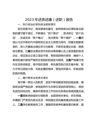 2023年述责述廉（述职）报告
