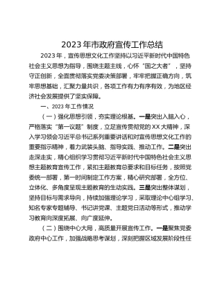 2023年市政府宣传工作总结