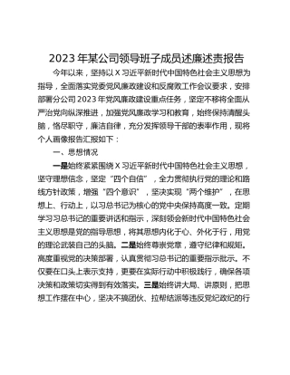 2023年某公司领导班子成员述廉述责报告