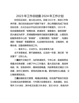 2023年工作总结暨2024年工作计划_1