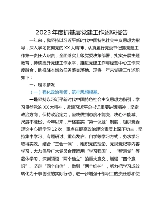 2023年度抓基层党建工作述职报告_4