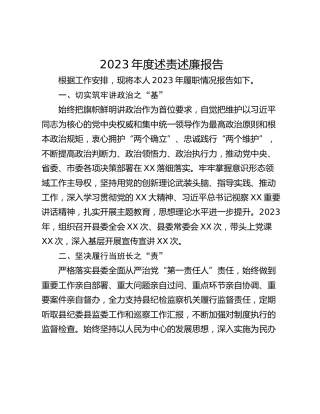 2023年度述责述廉报告 (3)