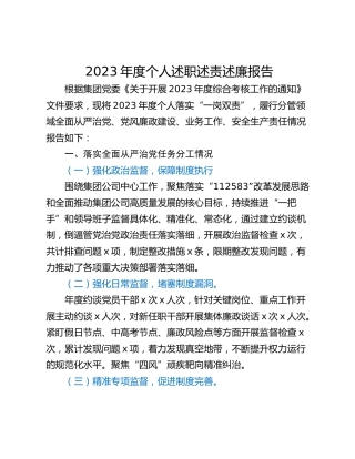 2023年度个人述职述责述廉报告