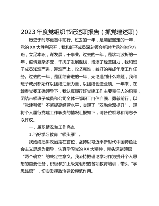 2023年度党组织书记述职报告（抓党建述职）