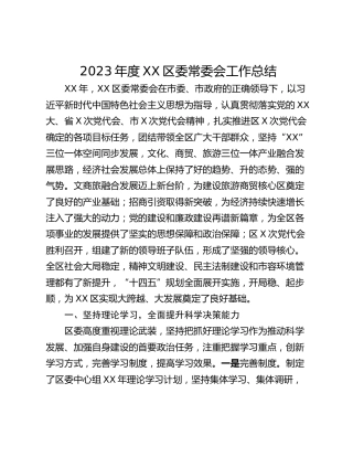 2023年度XX区委常委会工作总结