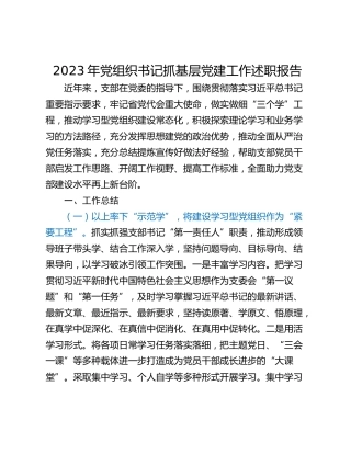 2023年党组织书记抓基层党建工作述职报告_1