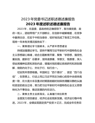 2023年党委书记述职述德述廉报告
