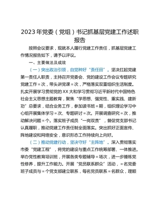 2023年党委（党组）书记抓基层党建工作述职报告
