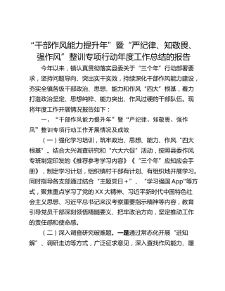 “干部作风能力提升年”暨“严纪律、知敬畏、强作风”整训专项行动年度工作总结的报告