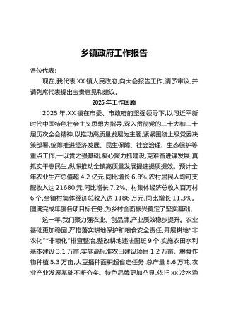 乡镇政府工作报告（2）