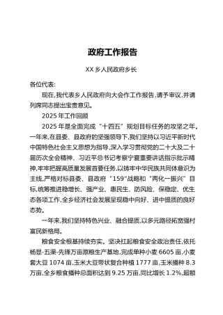 XX乡政府2026年工作报告